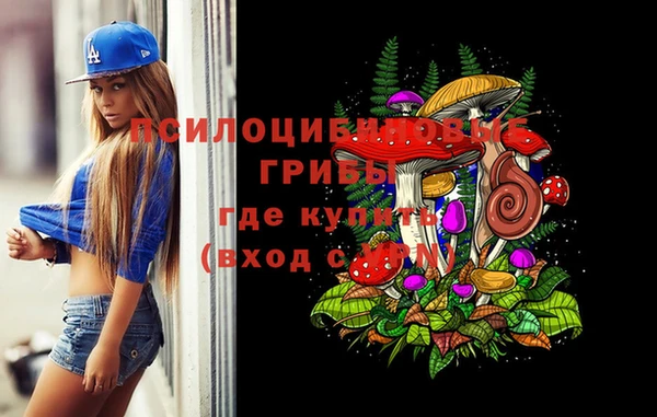 гидра Нефтекумск